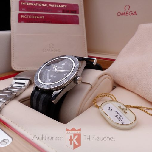 Omega Seamaster 300 Master Co-Axial Ref. 233.30.41.21.01.001